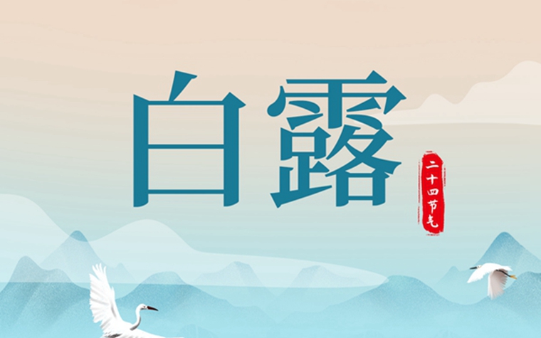 W020250911564442906424_副本.jpg